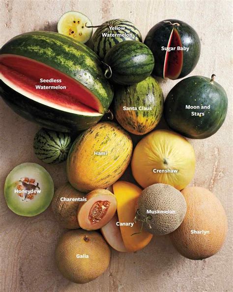 Melons Types